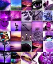 Purple Collage