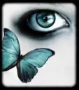 eye butterfly