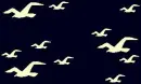 Hollister