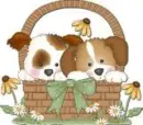 two puppies in a basket