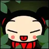 pucca