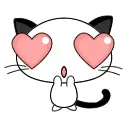 Cat in love