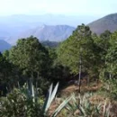MontaÃ±as
