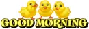 Good Morning