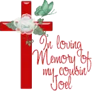 In loving Memory of my cousin Joel