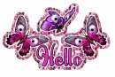 Hello~Butterfly Skulls