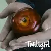 twilight
