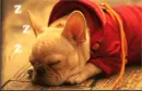 zzz