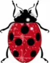 Bug