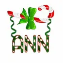 ANN