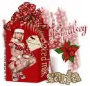 LYNDSEY Garv Christmas 