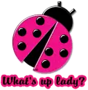 What's up lady?