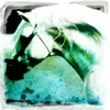 white horse