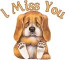 miss you