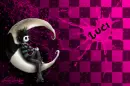 Luci