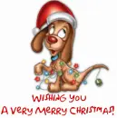Wishing You A Very Merry Christmas