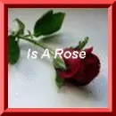 A rose is a rose