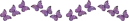 butterfly divider