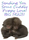 PUPPY LOVE HUGS