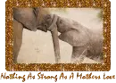 Nothing as strong as a mothers love