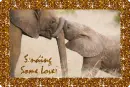 Sending some Love With elephants