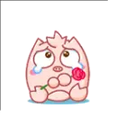 kawaii piggie