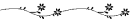 Black Flowers