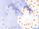 Tomoyo