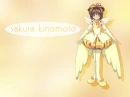 Sakura Kinomoto