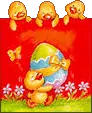 baby ducks