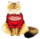 merry christmas cat