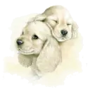 puppies