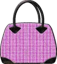 lady bag