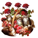 CAT LOVER
