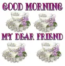 GOOD MORNING