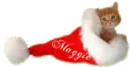 Maggie