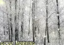 A FRROSTY GOOD MORNING
