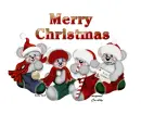 merry christmas teddy bears