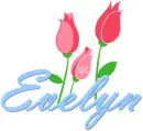 Evelyn roses