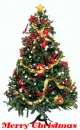 MERRY CHRISTMAS