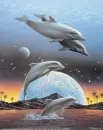 dolphins 