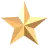 gold star