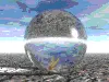 fish in bowl