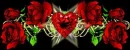 rose heart 