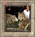 wolf