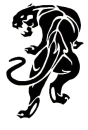 panther