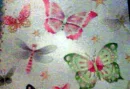 lots of butterflies