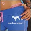 Victoria Secret