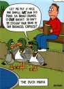 the duck mafia