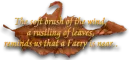 AUTMN WISHES